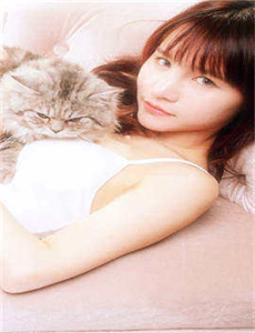 《丹丹生活情感剧新视频》